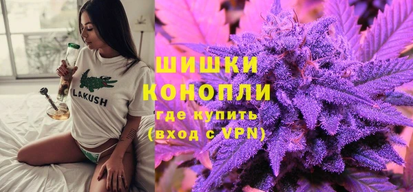 гашик Богданович