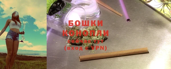гашик Богданович