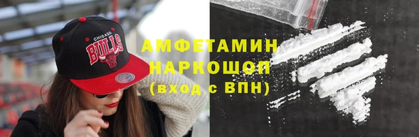 гашик Богданович