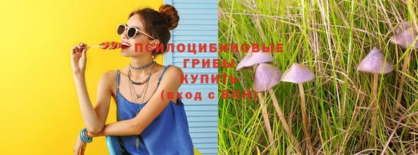 гашик Богданович