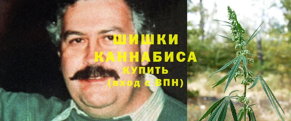 гашик Богданович