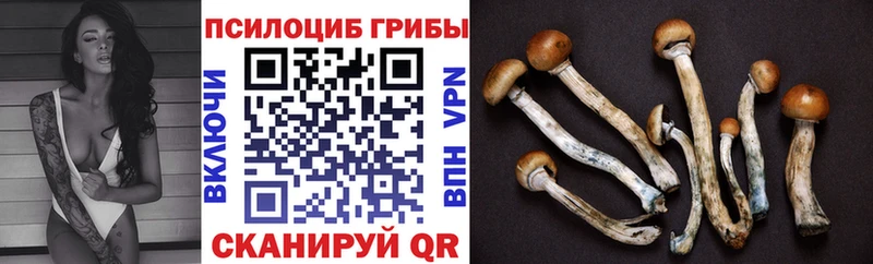 Галлюциногенные грибы ЛСД  Мезень 