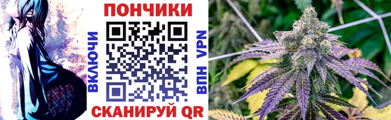 дарнет шоп  omg ссылки  Бошки марихуана MAZAR  Мезень 